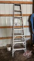 Approx 8&rsquo; Aluminum step ladder