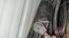 Approx 100&rsquo; HD extension cable with 220 ends - 3