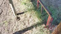 Bale forks off Leon 707 loader