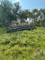 Pile of logs for firewood