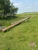 55' & 45' poles - 2