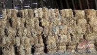 Approx 50 small straw square bales (in hay loft)