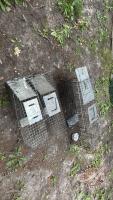 Live traps