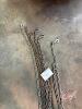 Pail of logging chains - 3