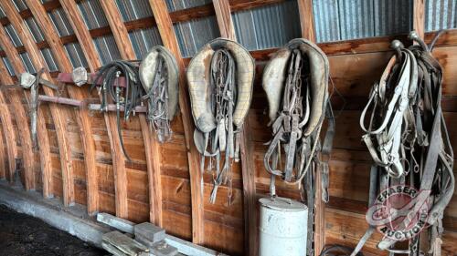 Horse harness and tack