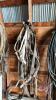 Horse harness and tack - 2