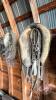 Horse harness and tack - 4