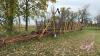 Powermatic diamond harrows - 2