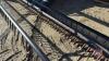 Massey Ferguson Hesston WR9725 Swather s/n CHS10139 - 19