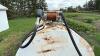 1000 gal fuel tank - 4