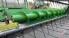 36&rsquo; John Deere 936D Draper Header, Sn-725549 - 18