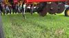 54&rsquo; Bourgault 5710 Series II Air Drill with 2010 Bourgault 6450 Air Cart, s/n drill 40211AH-14, s/n cart 40050AS-07 - 7