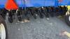 NH P2080 air drill and NH P1050 tow between air cart, s/n YES051118 air cart, s/n YES056272 air drill - 20