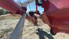 Buhler Farmking 1370 pto hopper swing auger - 15