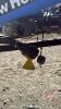 Flexi-Coil New Holland SF115 PT sprayer, s/n PNL014061 - 22