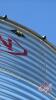 Bin #5 5500 bu Meridian Bin on Hopper, s/n 36-06891 - 3