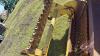 Degelman R570S ground drive rotary stone picker, s/n 12488 - 7