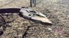 John Deere 1610 tillage with Raven NH3 Super Cooler - 11