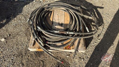 Assorted Hyd hoses