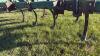 7&rsquo; 3pt Cultivator - 4