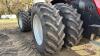 CaseIH 385 Steiger 4WD Tractor s/n ZBF123069 - 21
