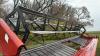 25&rsquo; CaseIH 725 PT Swather s/n 004343 - 6