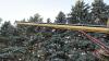 Westfield J208-51 auger s/n- 64966 - 9