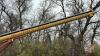 Westfield WR 70-31 electric auger s/n 123106 - 8