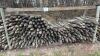 Used 3&rdquo;-4&rdquo;x 6&rsquo; fence post