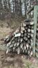 Used 2&rdquo;-3&rdquo;x6&rsquo; fence posts - 2