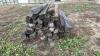 Rail Ties - 2