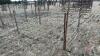 8&rsquo;x64&rdquo; Calf pen (G)