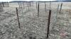 8&rsquo;x64&rdquo; Calf pen (G) - 3
