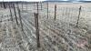 8&rsquo;x64&rdquo; Calf pen (F) - 2