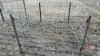 8&rsquo;x64&rdquo; Calf pen (F) - 3