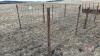 8&rsquo;x64&rdquo; Calf pen (E)