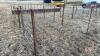 8&rsquo;x64&rdquo; Calf pen (E) - 2