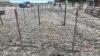 8&rsquo;x64&rdquo; Calf pen (E) - 3