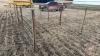 8&rsquo;x64&rdquo; Calf pen (D)