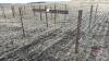 8&rsquo;x64&rdquo; Calf pen (C) - 2