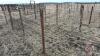 8&rsquo;x64&rdquo; Calf pen (B)