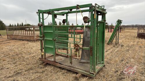 Hoof trimming chute w/ auto catch head gate