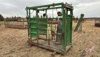 Hoof trimming chute w/ auto catch head gate