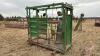 Hoof trimming chute w/ auto catch head gate