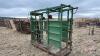 Hoof trimming chute w/ auto catch head gate - 2