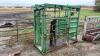 Hoof trimming chute w/ auto catch head gate - 4