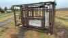 Squeeze chute with auto catch headgate