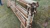 10&rsquo; 3 bar (45&rdquo; high) corral panel (Lot B) - 3