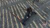 HLA 2 prong 3pt bale fork - 3