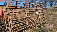 K35. 12' Panel with walk through gate
